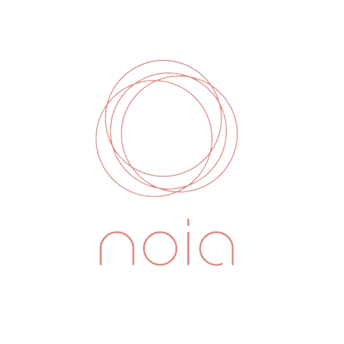 Noia Logo